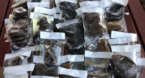 Ορεστιάδα: 103 κοτσίδες δώρισαν παιδάκια της Εθελοντικής Ομάδας “Δρω” για τον παιδικό καρκίνο